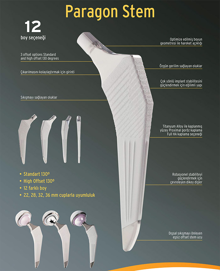 Paragon Sistemi