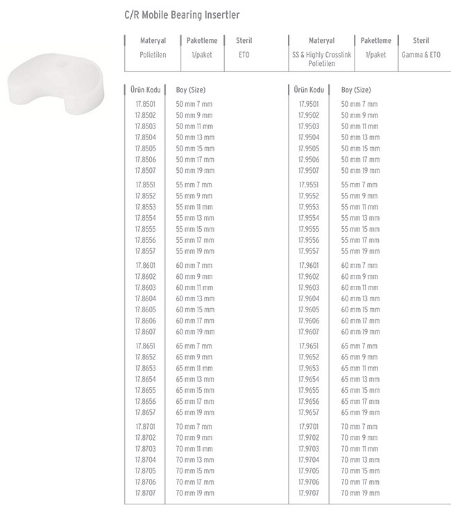 FEMORAL INSERT