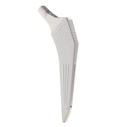 Paragon Hip Sistem