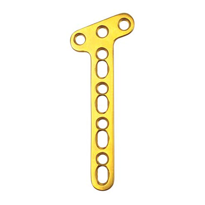 Unilock oblique T Plate