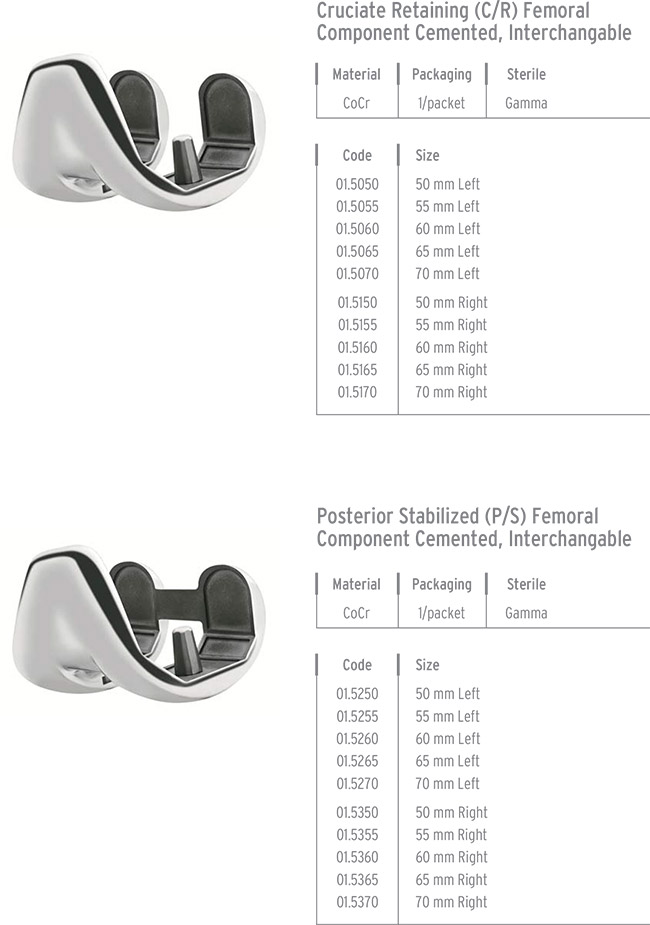 FEMORAL COMPONENTS