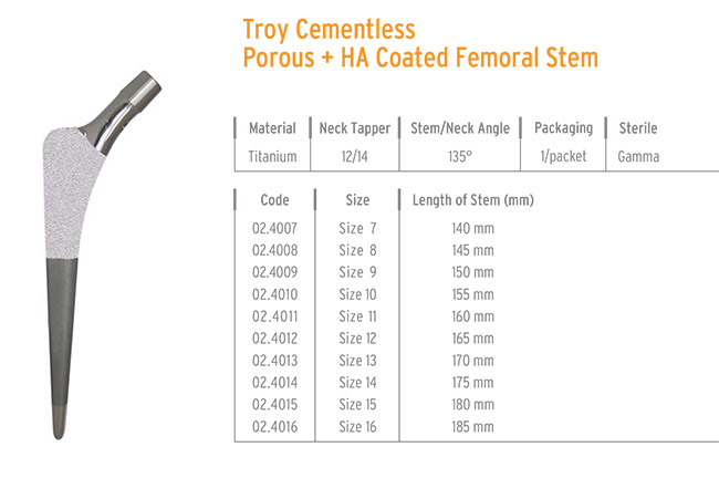 TROY CEMENTLESS POROUS + HA COATED  FEMORAL STEM