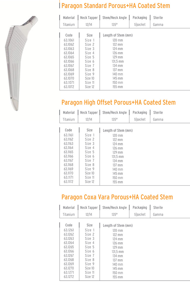 PARAGON HIP SYSTEM